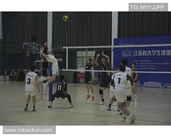 南京排球队荣登全国排球团队协作排行榜第三名展现卓越团队精神